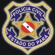 Apostilas digitais para concurso da polícia civil do Pará